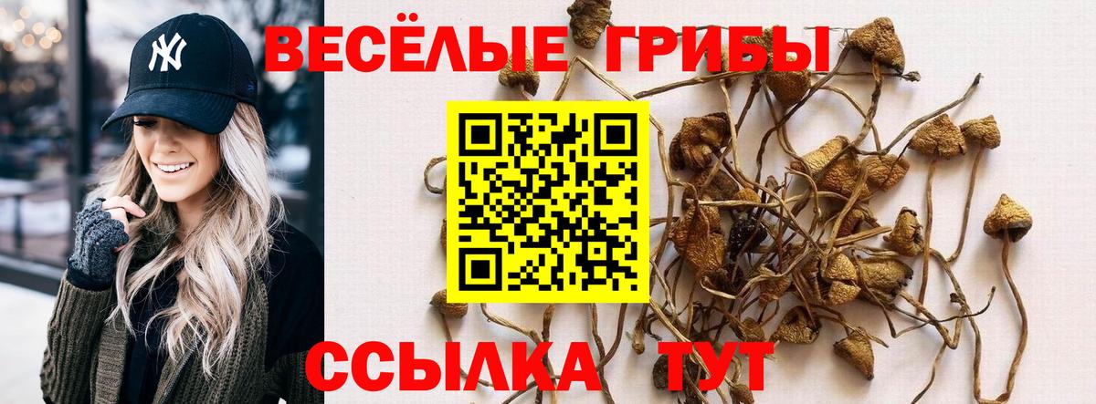 Псилоцибиновые грибы мицелий Заинск